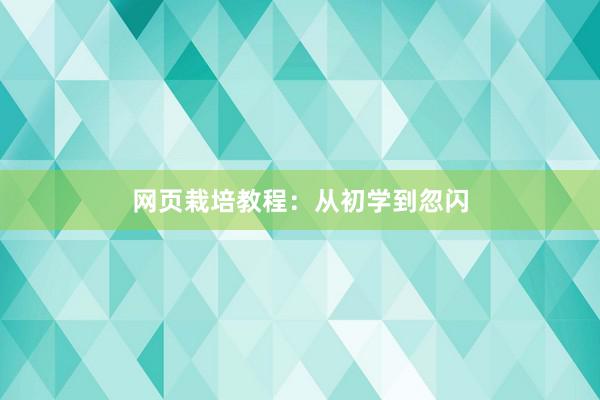 网页栽培教程：从初学到忽闪