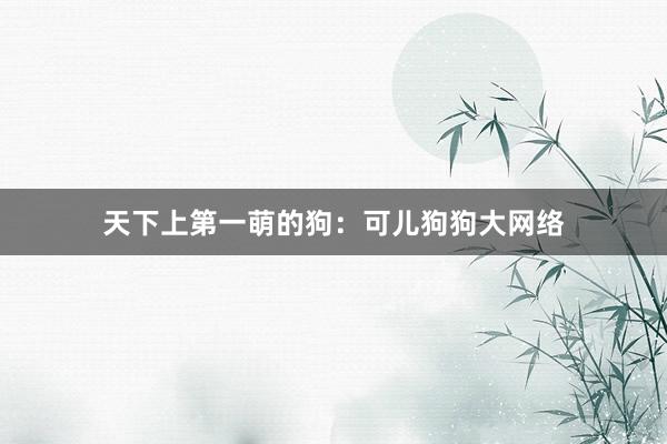 天下上第一萌的狗：可儿狗狗大网络